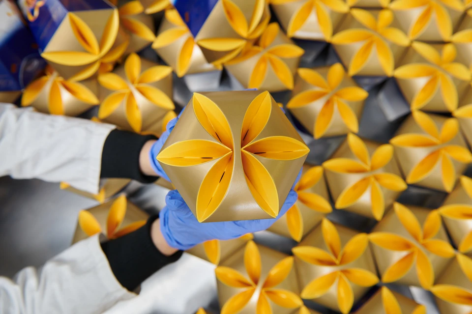 Фото: Департамент инвестиционной и промышленной политики г. Москвы.