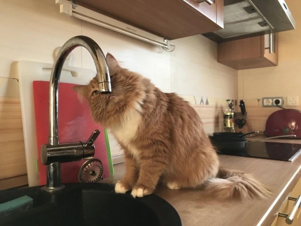 При реконструкции используются современные материалы и передовые технологии