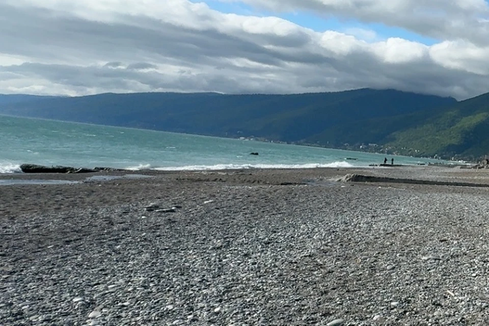 Ребенок из Хабаровска погиб от укуса ядовитой медузы в Малайзии