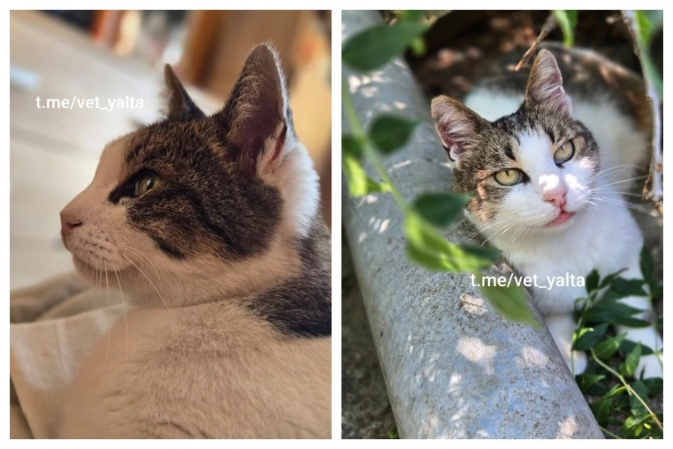 После шокирующей истории с Мусей прошло больше полугода. Фото: Светлана Власенко