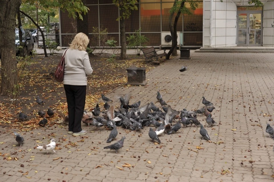 Теплую пятницу обещают синоптики в Ростове и области.