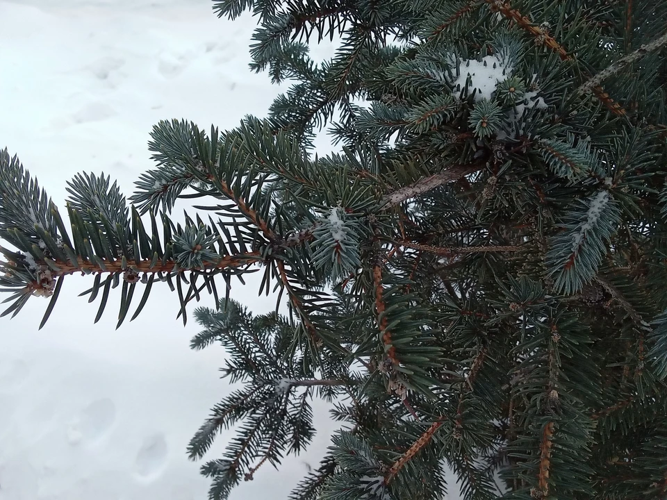 Погода на Ямале на 22 ноября