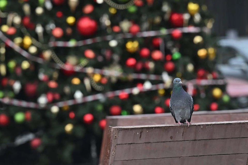 Билеты можно купить на сайте зоопарка.
