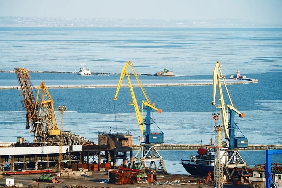 За 2024-2025 годы через Мариупольский порт перевалили 224 тысячи тонн зерна (архивное фото)