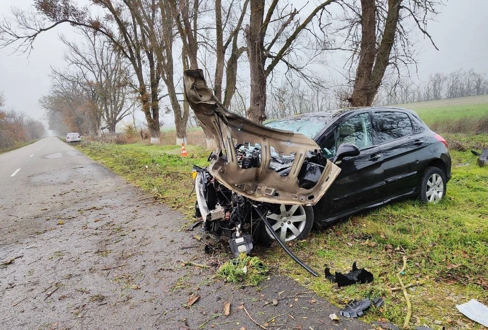 Водитель с восьмидневным стажем устроил ДТП с тремя пострадавшими на Ставрополье. Фото: Госавтоинспекция Ставрополья
