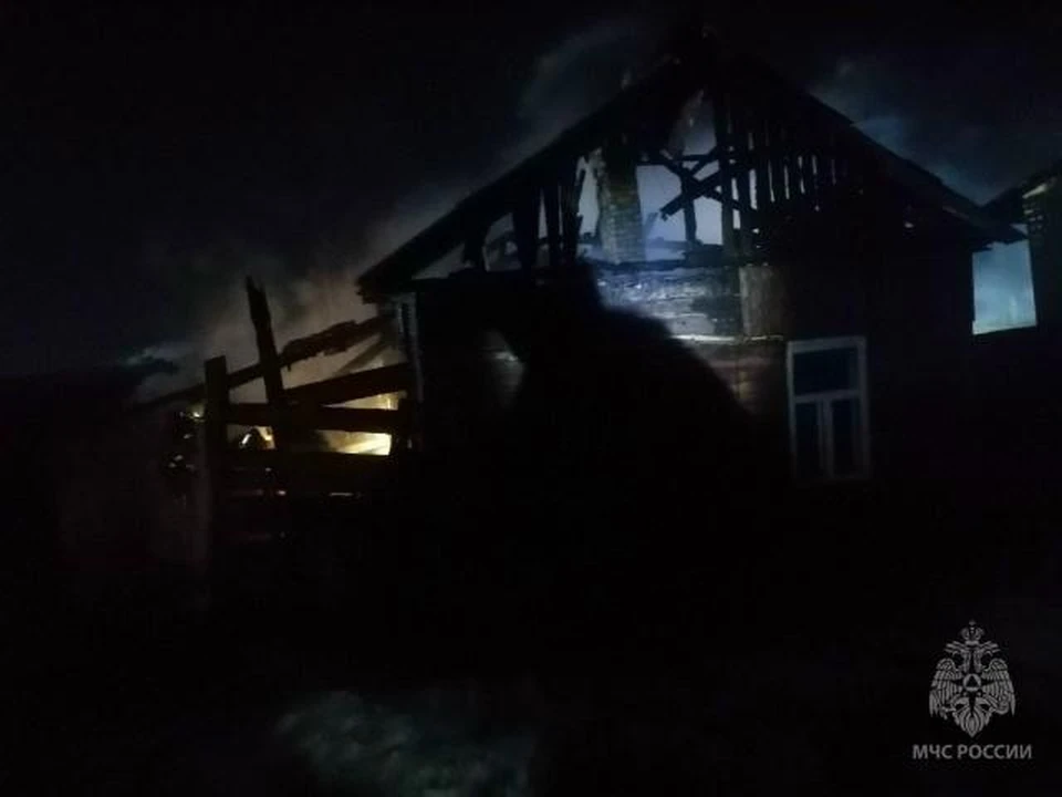 Фото: пресс-служба ГУ МЧС России по Омской области