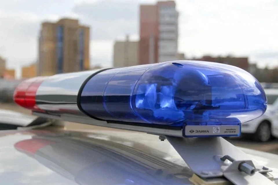 Милиция сообщила о новых подробностях поиска подростка в Березинском районе. Фото используется в качестве иллюстрации: архив «КП».