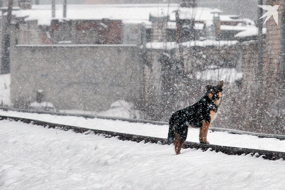 Ну вот и зима пришла!