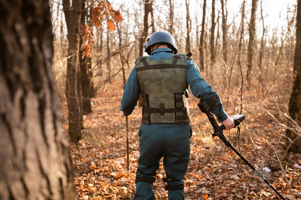 Пять пожаров потушили в ЛНР за сутки. ФОТО: МЧС России