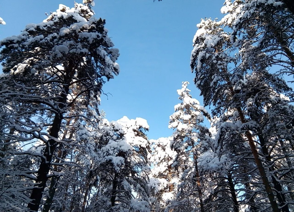 На Кузбасс обрушились снегопады.