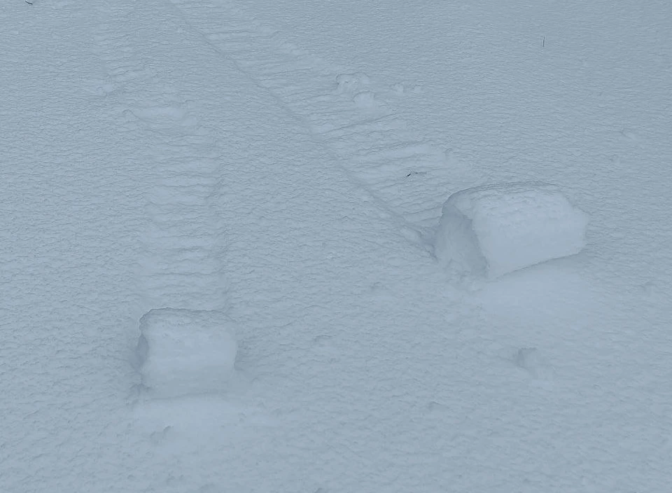 Фото: Мария Синкина.