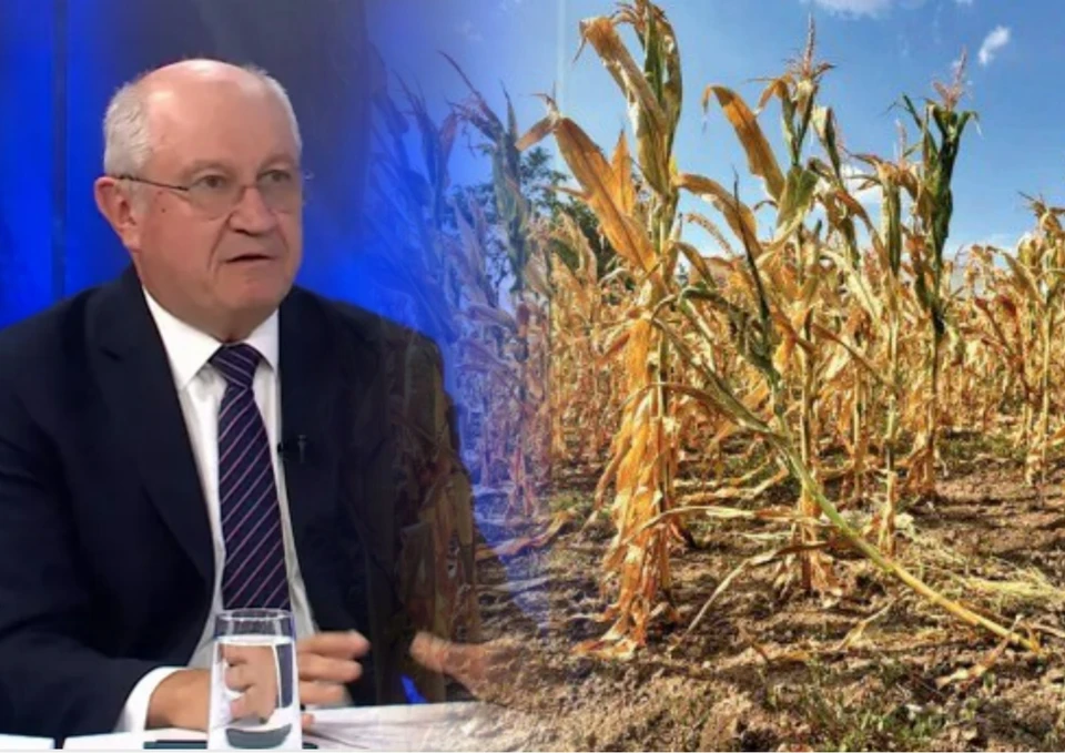 Пока аграрии тонут в долгах, премьер хвалится “смелыми и инновационными фермерами” . Фото: коллаж КП