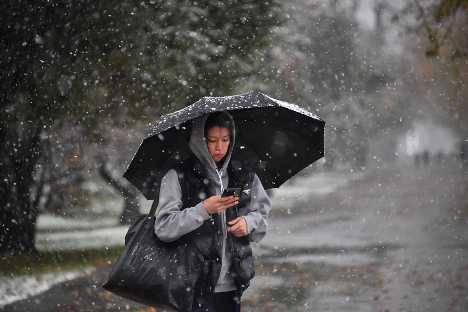 Психолог добавила, что девушки не ждут от переписки виртуального романа