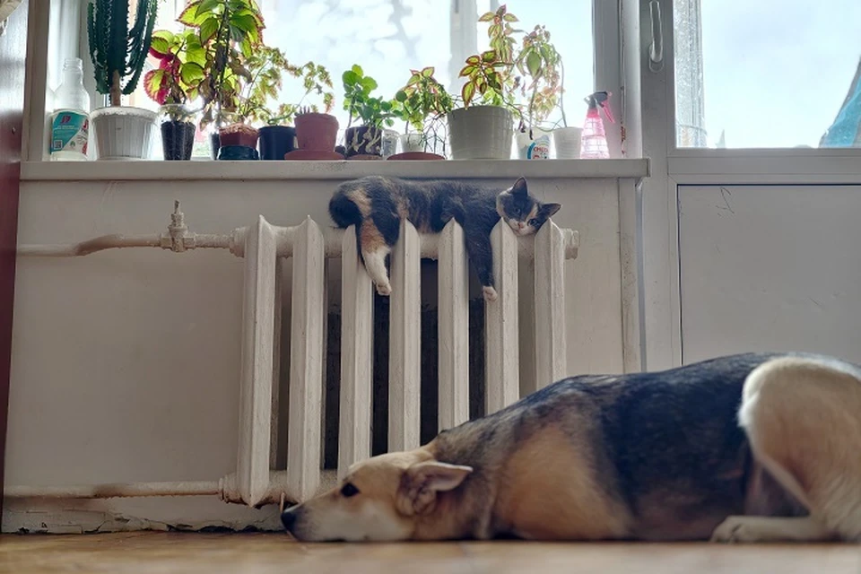 Специалисты ресурсоснабжающей организации накануне выявили порыв на одной из главных теплопоставляющей «артерии» города.