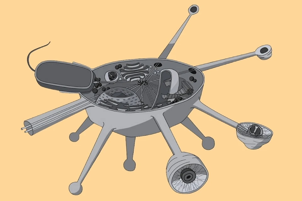 Solarion напоминает о том, как мало мы все еще знаем о разнообразии микробной жизни