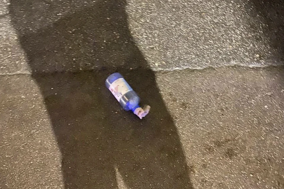 Мужчину доставили в полицию. Фото: t.me/rosgvard78