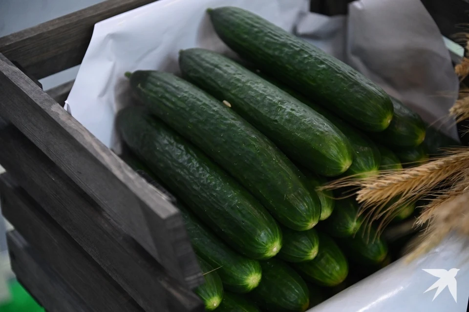 В Свердловской области вновь подорожали огурцы