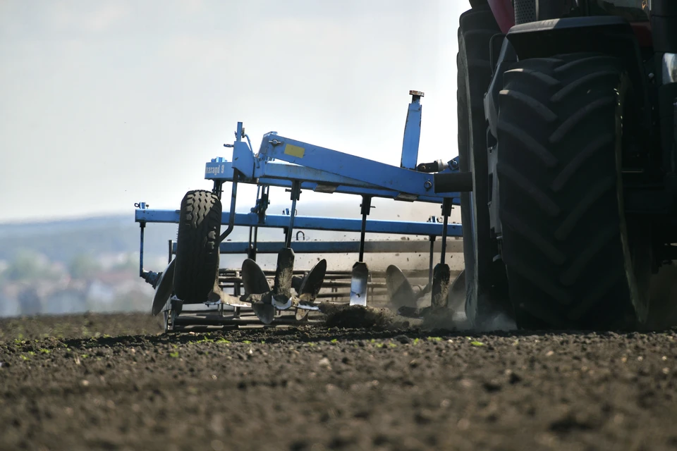 В Краснодаре завершили сев озимых культур Фото: Алексей БУЛАТОВ