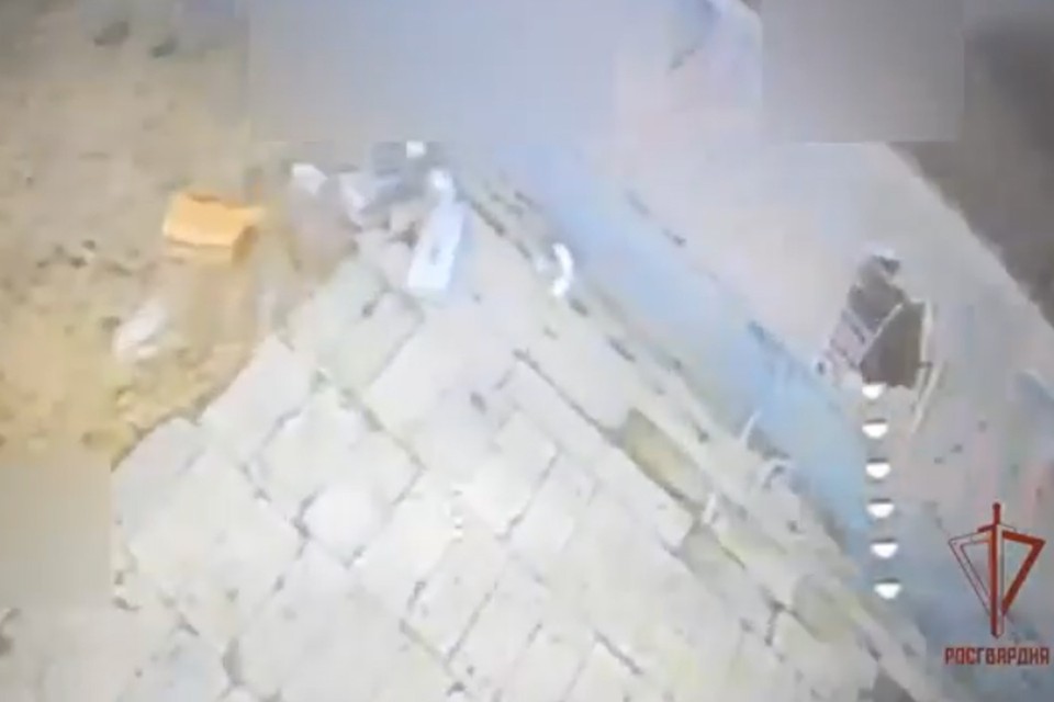 Спецназ Росгвардии уничтожил украинских боевиков в ангарах сельхозпредприятия