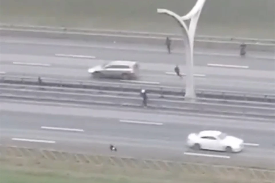 По сообщениям очевидцев, детей отловила полиция, чудом никто не пострадал. Фото: скриншот с видео vk.com/vasilyevskiyostrov