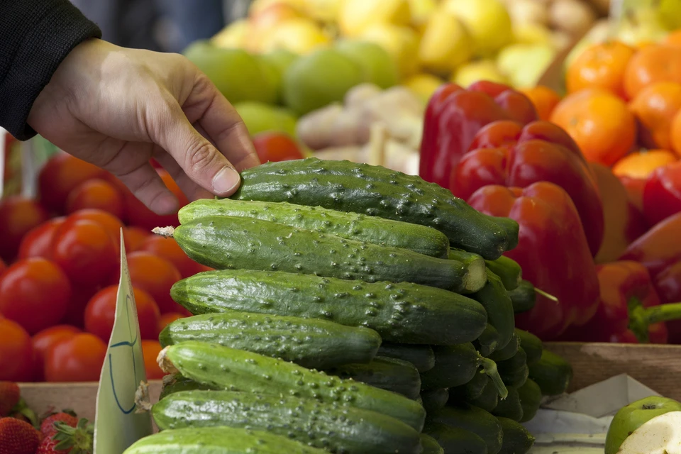 В Краснодаре запретили к ввозу более 17 тонн зараженных огурцов Фото из архива КП