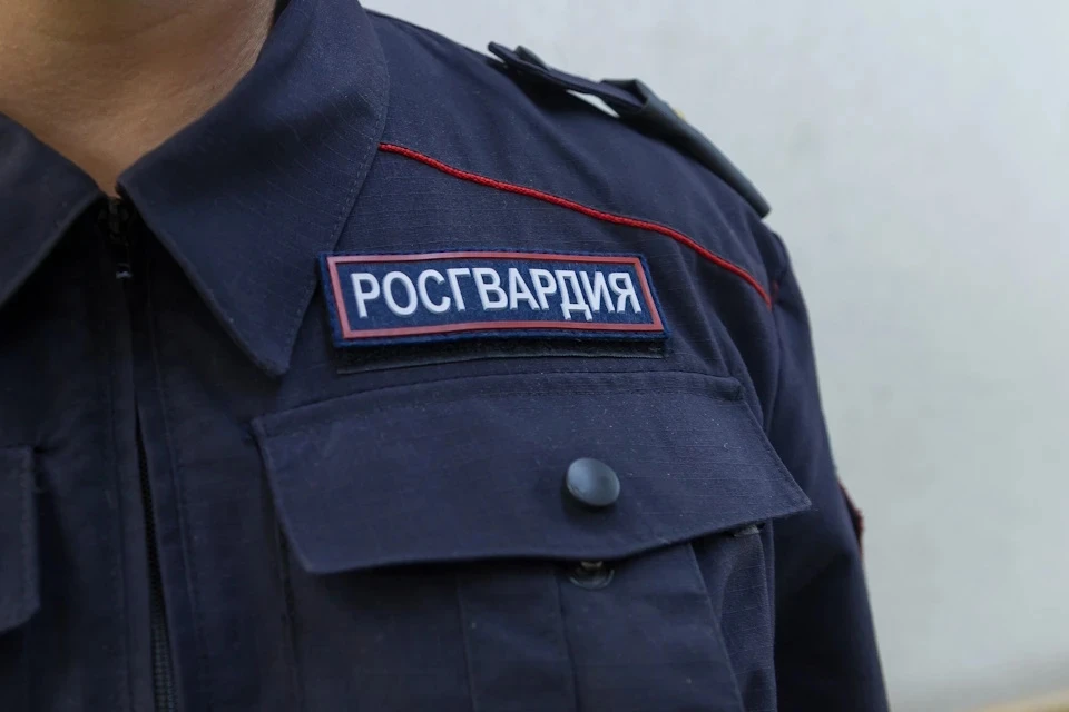 В Подмосковье поймали воришку-сладкоежку, укравшего более ста шоколадок