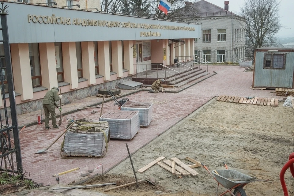 Фото: пресс-служба Брянской городской администрации.