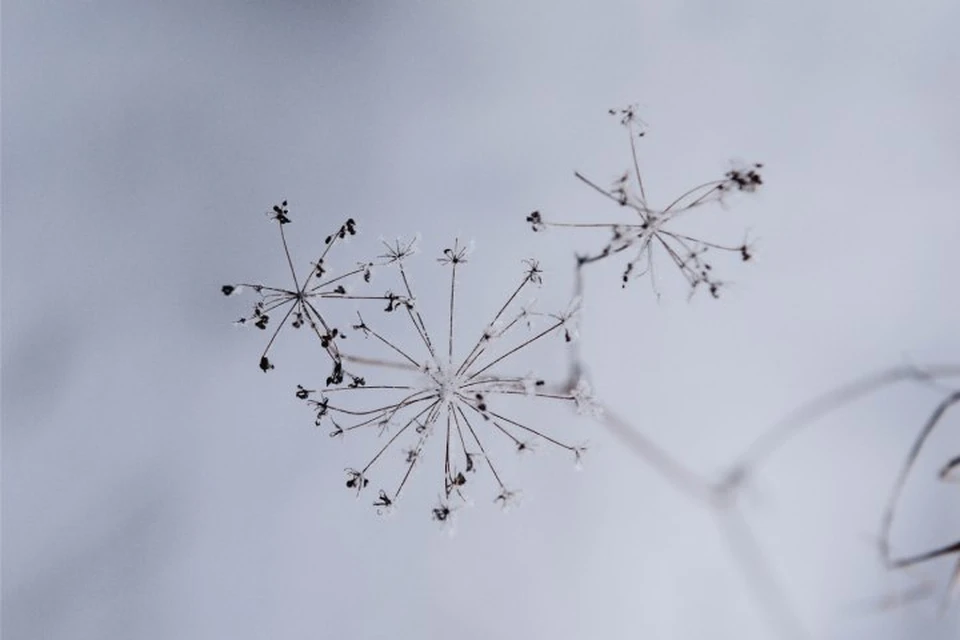 Что принесет первый месяц зимы? Фото: архив редакции