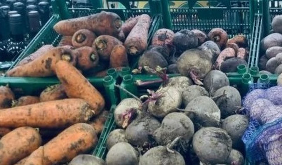 Выездной мониторинг направлен на защиту интересов потребителей. Фото: sev.gov.ru