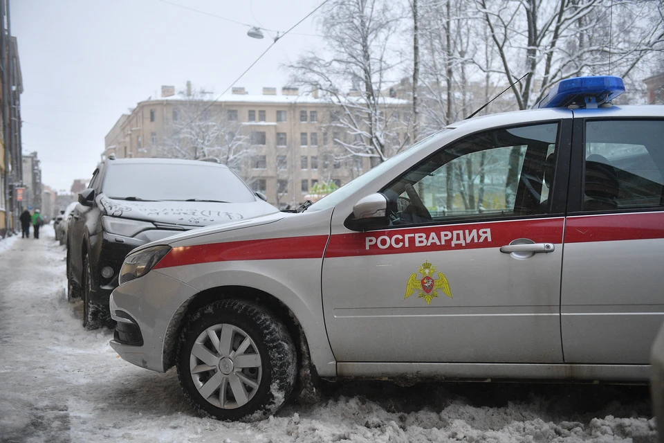 Росгвардейцы задержали дебошира.