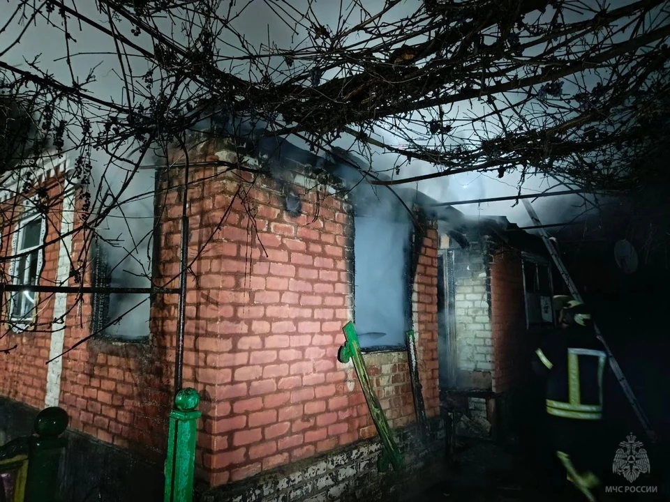 Женщина находилась в охваченном пламенем доме. Фото: МЧС России