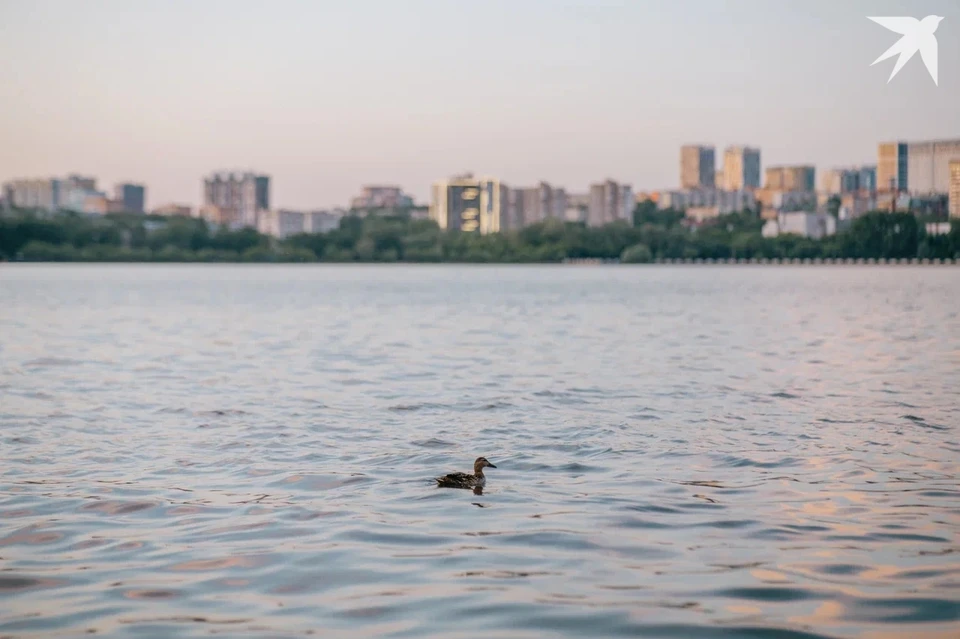 Начать очистные работы планируется начать в 2028 году