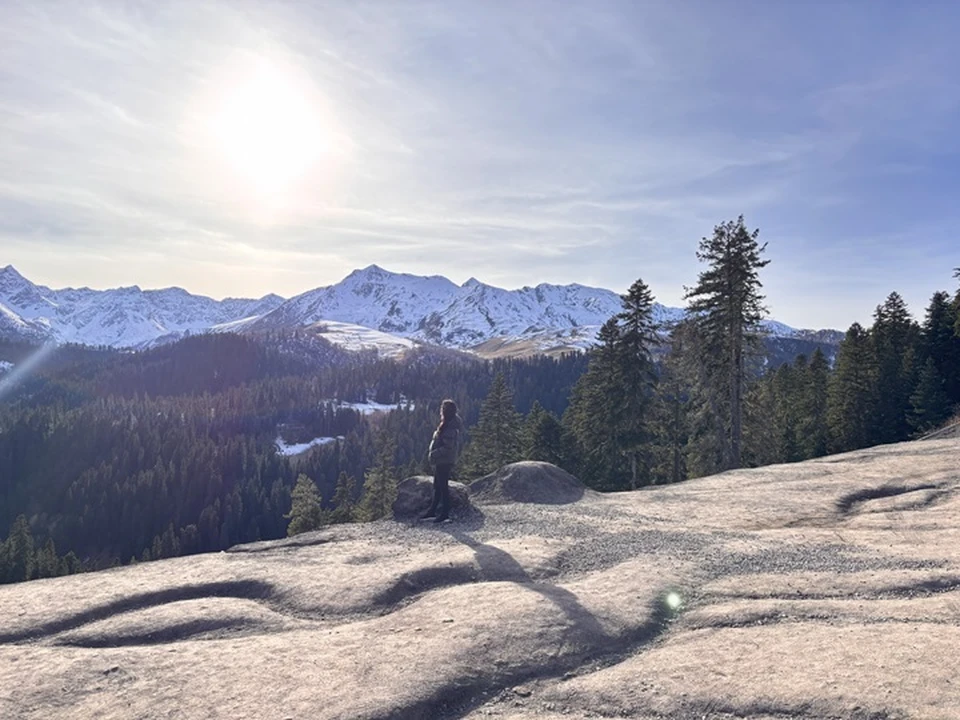 Пейзажи по дороге фантастические