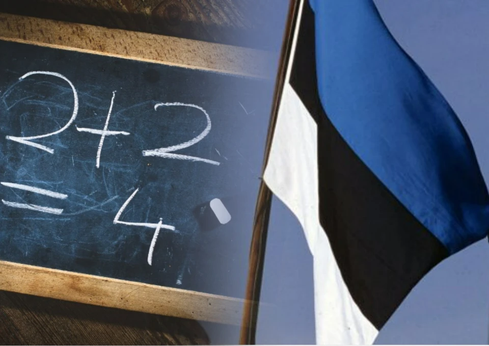 Переход на эстонские учебники «пахнет интересами» и принесёт Молдове убытки. Фото: коллаж КП