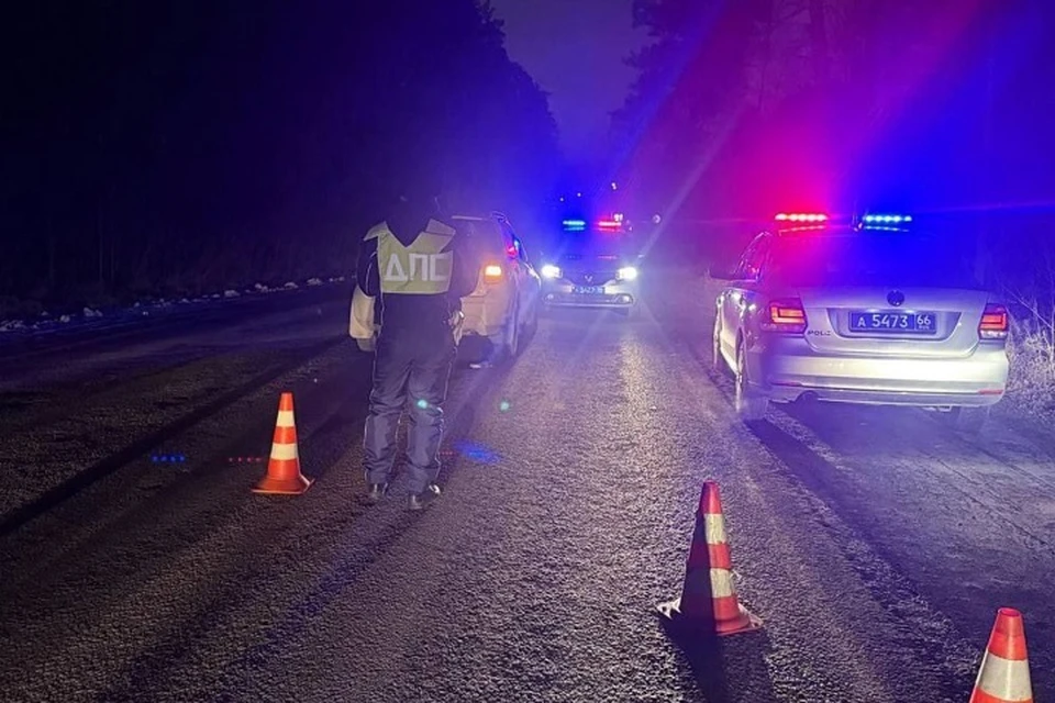 За рулем иномарки находилась 47-летняя женщина. Фото: региональная Госавтоинспекция