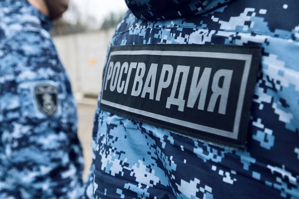 Неизвестные напали на студентов на юго-востоке Москвы. Фото: пресс-служба ГУ Росгвардии