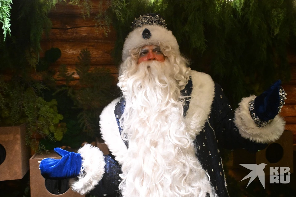 Резиденцию Деда Мороза откроют в Рязани 13 декабря.