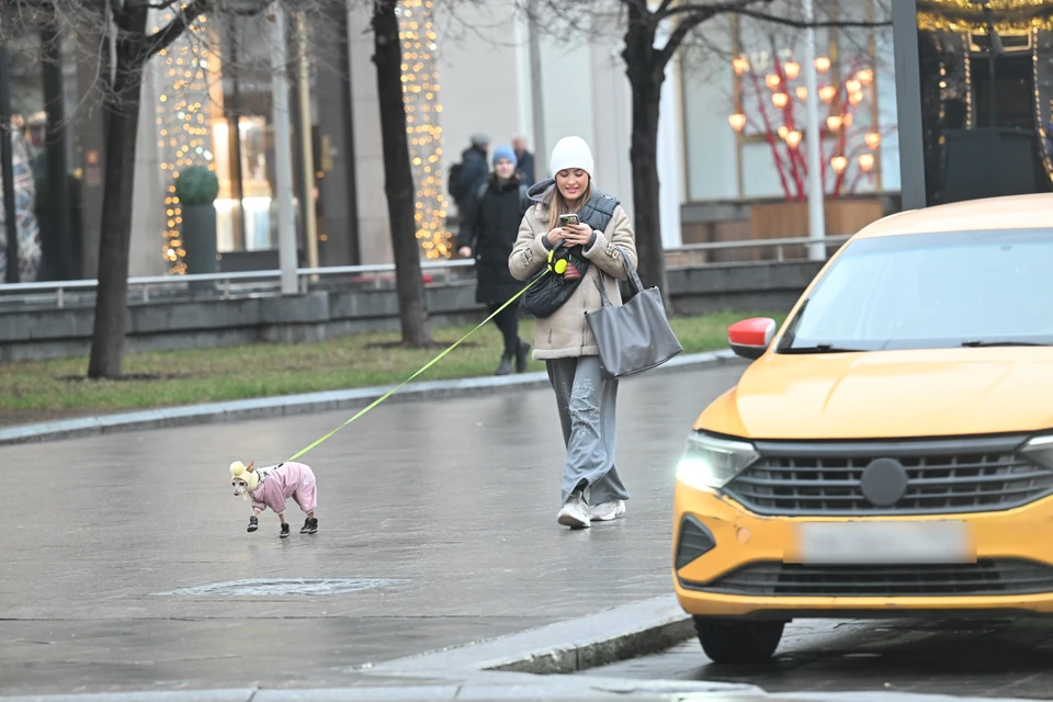 В субботу в Ростове и области ожидаются перепады от -3 до +7 градусов.
