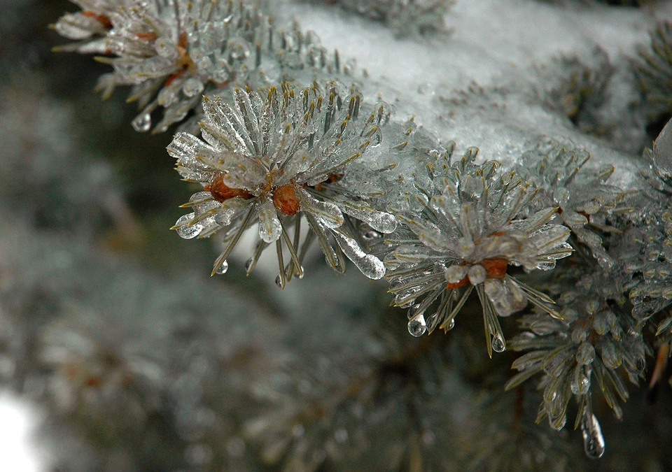 Фото из архива КП