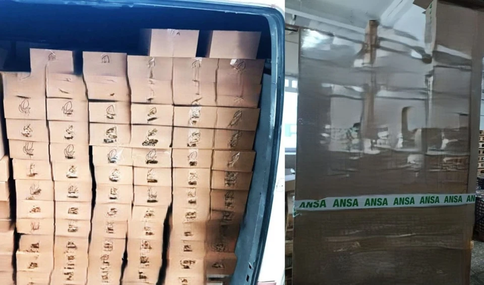 ANSA уничтожила 374 кг импортного чая, в котором нашли превышение опасного пестицида хлорпирифоса. Фото: ANSA