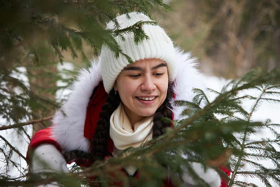 Рисковать кошельком не стоит, лучше съездить в лесничество в Ленобласть.