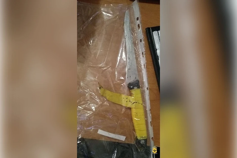 Кухонный нож был использован в бытовой ссоре сожителей. Фото: ГУ МВД России по Херсонской области