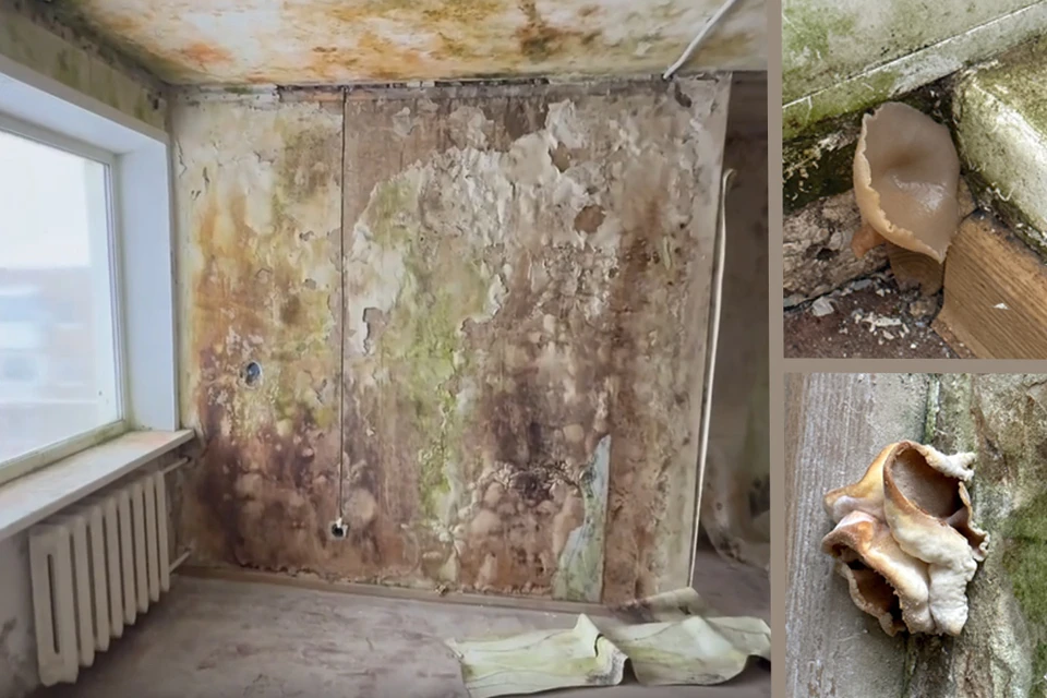 Мэр Кизела ответил на возмущения жильцов. Фото предоставлено жильцами дома по улице Ленина, 34