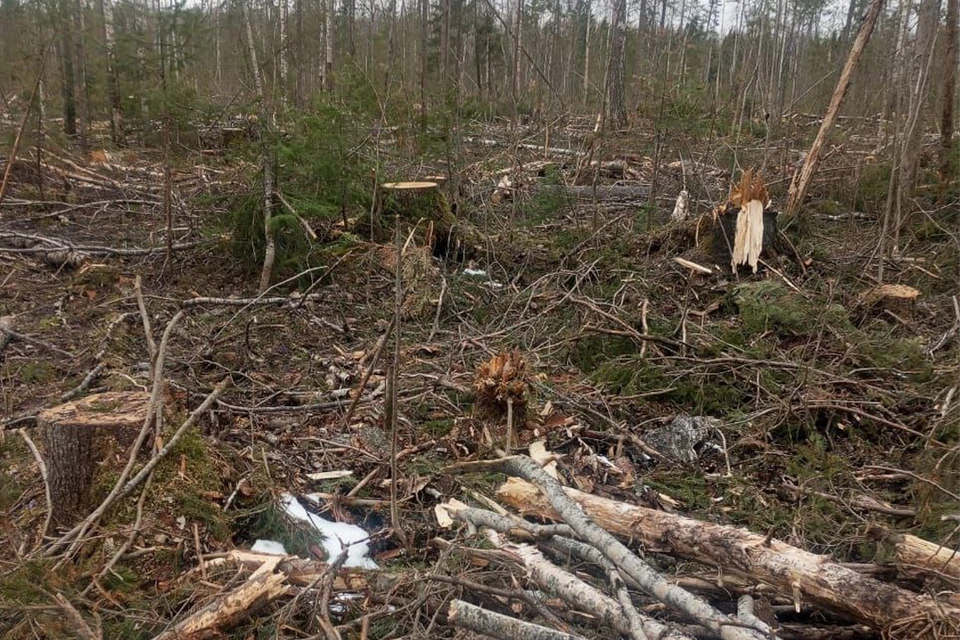 Фото: пресс-служба УФСБ России по Пермскому краю