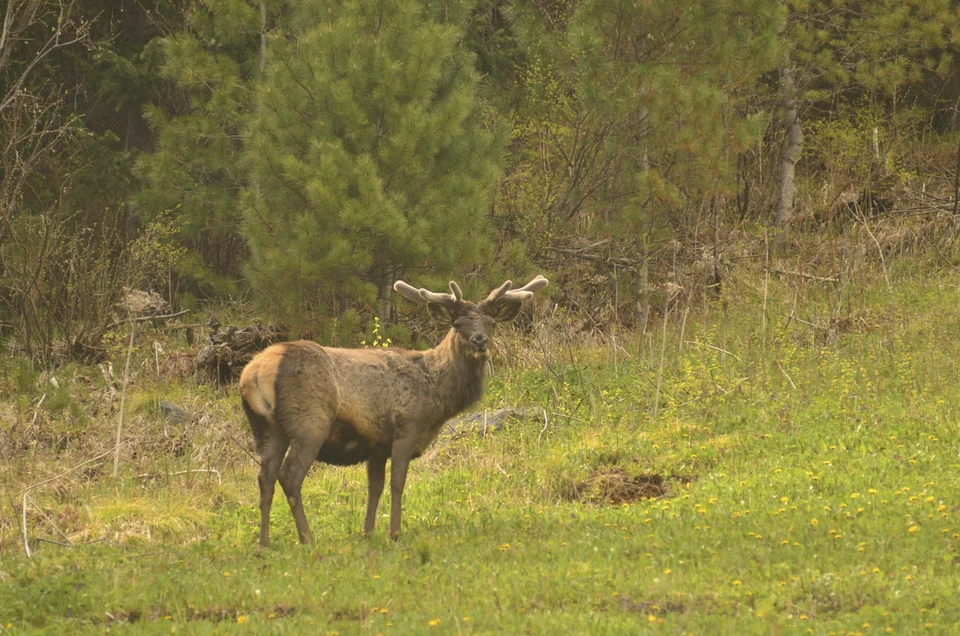 Прокуратура через суд добивается определения охранных зон для уникальных природных объектов Томской области.
