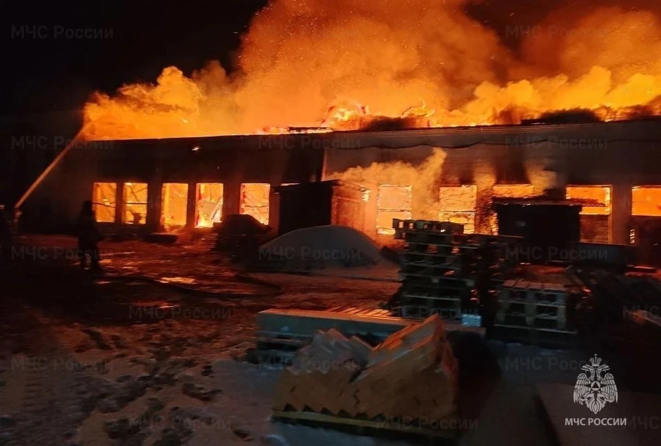 Площадь пожара составила около 450 квадратных метров. Фото: https://t.me/mchs_vdk