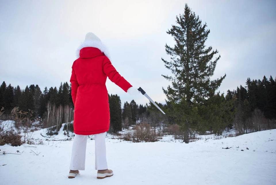 Юрист Салкин: За неправильную перевозку елки грозит лишение прав или штраф.