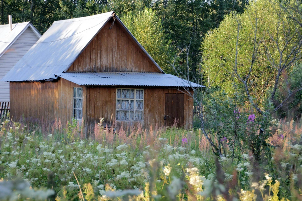 Под ответственностью подразумевается распространение опасных инвазивных (чужеродных) растений