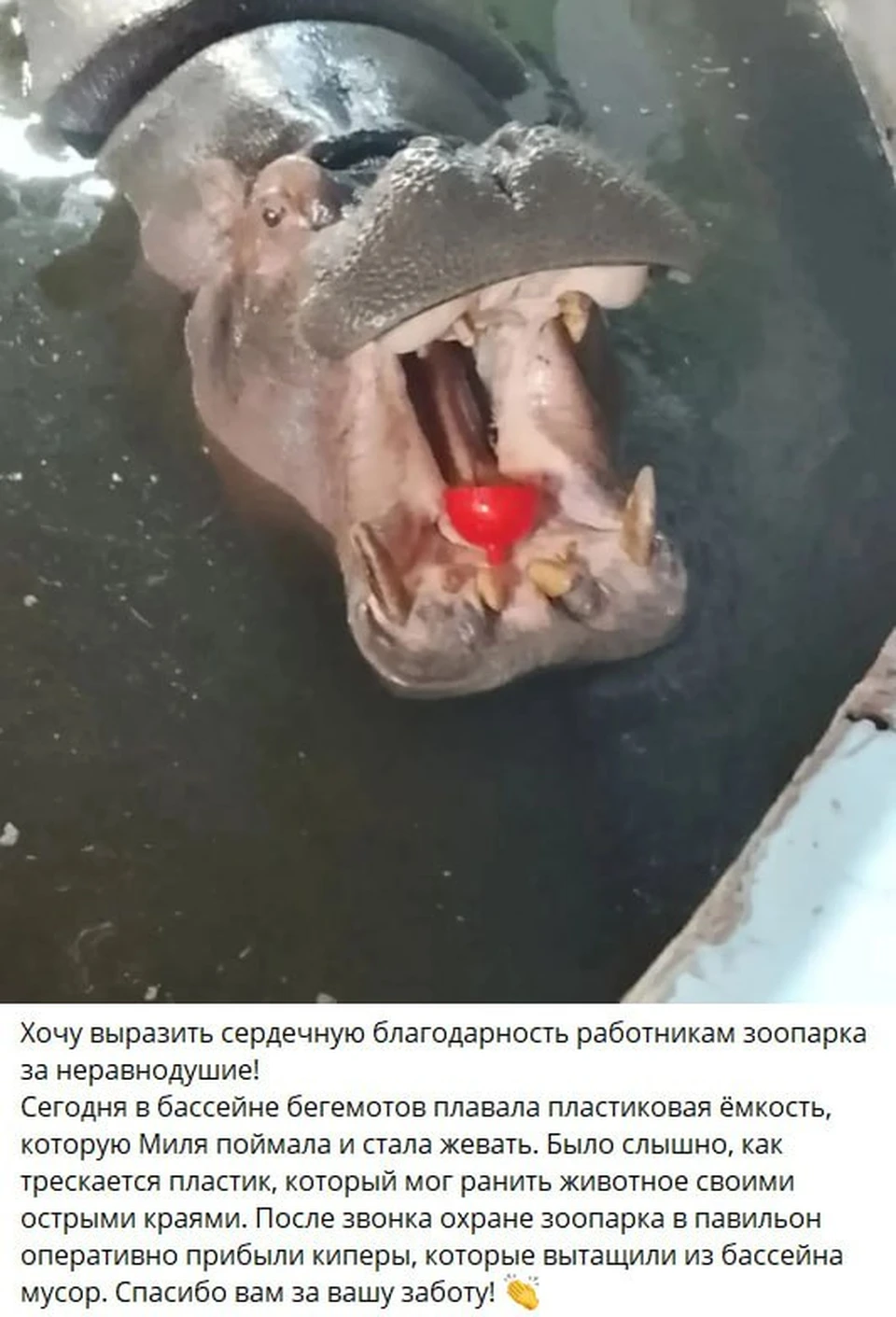 .