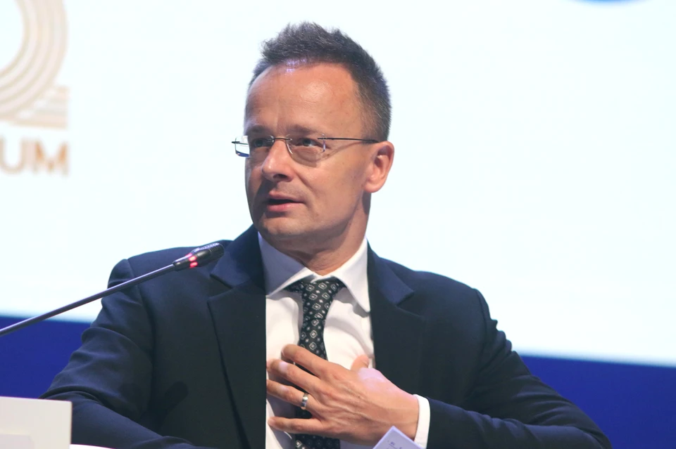 Глава МИД Венгрии: Украина направит наблюдателей на парламентские выборы 12 апреля